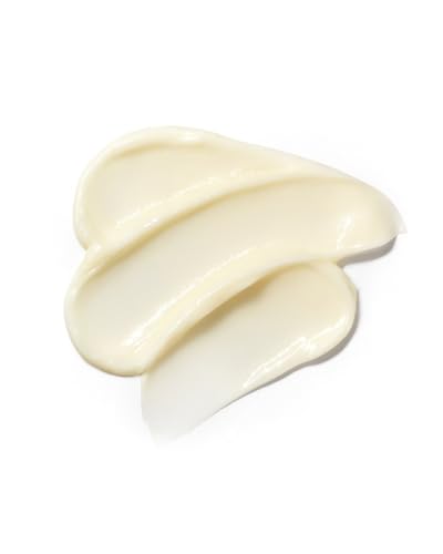 John Masters Organics | Daily Nourishing Conditioner with Citrus & Neroli | Detangle | Frizz Control | Oily Scalp | Silicone & Paraben Free 8 oz