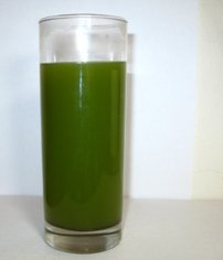 Organic Japanese Matcha Tea high antioxidants and energy drink green teas 1lb Tea in foil Bag — view 2