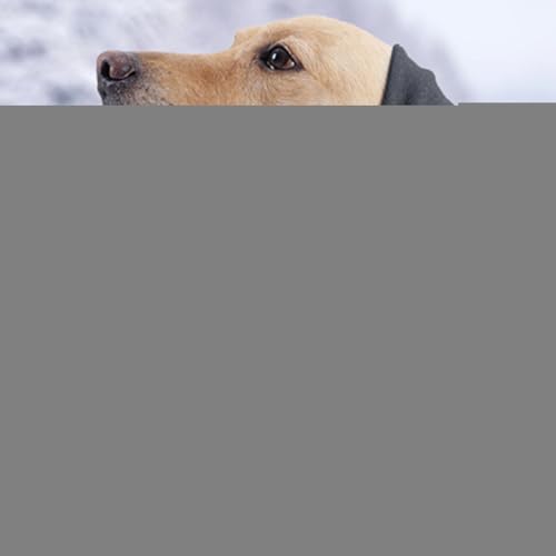 ptbvȂC[bvApwbhbv,pXk[h | ̃PAAXgX̂߂̌XJ[tACO[~Ô߂̃ybgt[hAh~