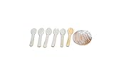 Caviar Spoon 3.5