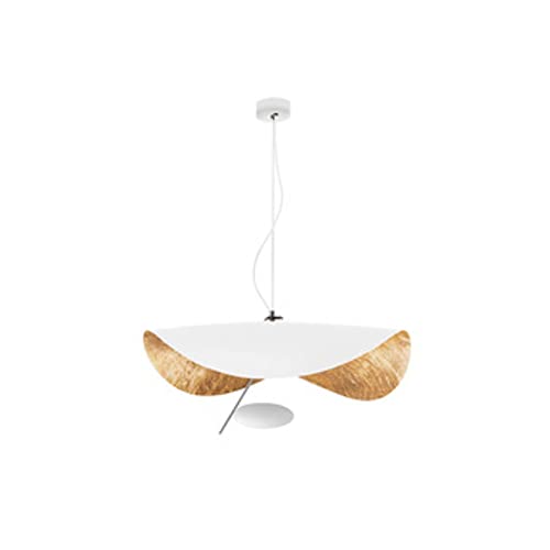 Lustre plafonnier LED créatif au design métallique épuré et contemporain