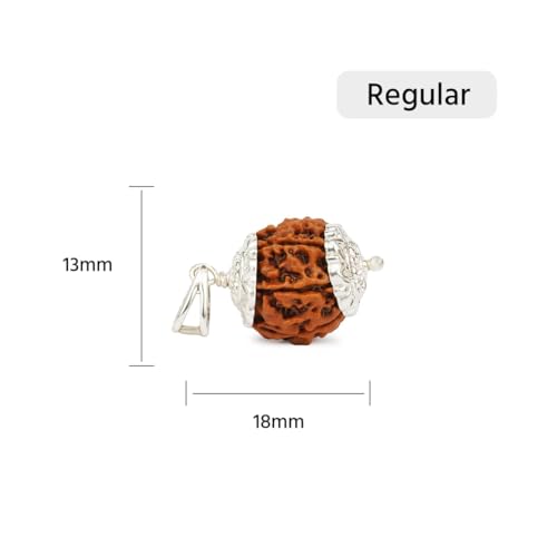 Image of Gemsmantra Energized 7 Mukhi Rudraksha Bead with 92.5 Sterling Silver Pendant, Original Nepali Lab Certified, Natural Spiritual Jewelry for Men and Women (Regular Size)