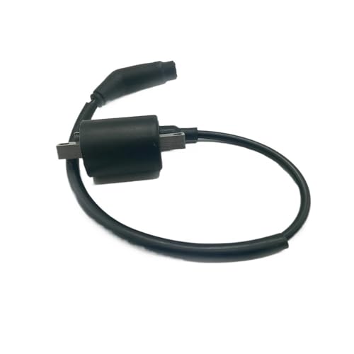 Régulateur et bobine d'allumage robustes pour quad 260cc-400cc