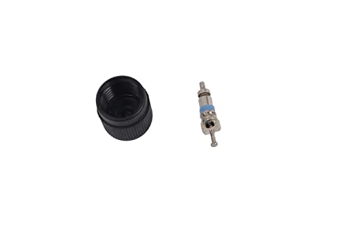Gm Genuine Parts 12570619 Fuel Injection Fuel Pressure Service Kit With Valve And Cap #TOP1