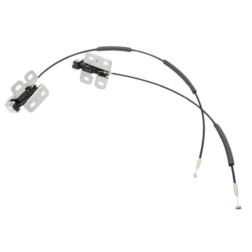 ZEALfix Cerradura de maletero para puerta trasera de coche, lado izquierdo y derecho, lote de puerta trasera para Koleos 905939948R 905932234R, plateado