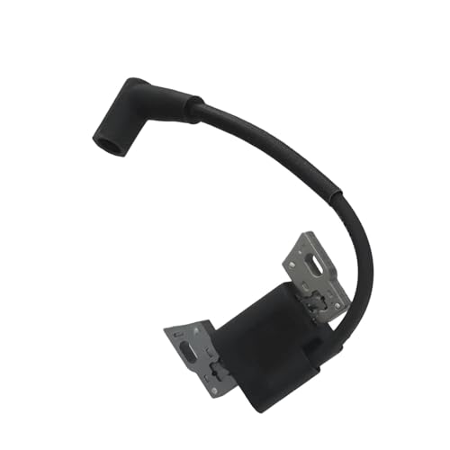 Bobine d'allumage haute tension 593872 pour pièces de moteur 798534