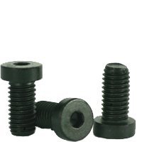 Hex Screw - Allen Screw - Low Head Socket Screw - Metric Class 10.9 - M5-0.8 x 12mm - Thermal Black Oxide (Quantity: 100), Drive: Hex Socket, Head: Low Head