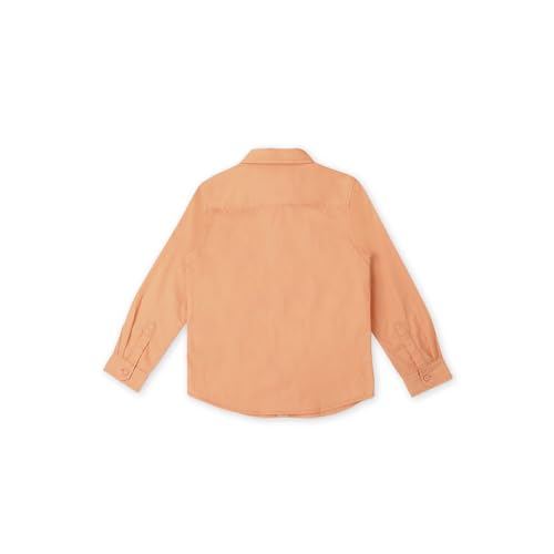 Image of Pepe Jeans Boy's Cotton Regular Fit Shirt