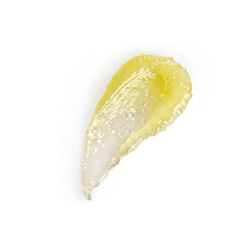 Seraphine Botanicals Lemon Balm + Thyme Nourishing Lip Scrub - Exfoliating Lip Treatment, Moisturizer For Dry And Flaky Lips, Vegan, 0.46 Oz #TOP1