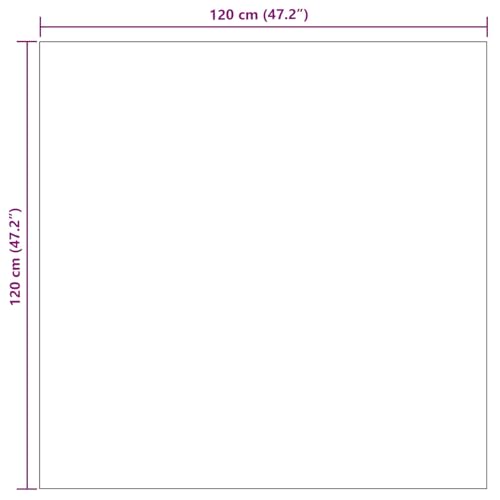 Tapis Grand Tapis de Couloir Moelleux Antidérapant Carré 120x120