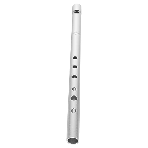 BIUDECO Whistle in d Key Soprano Recorder Boys and Girls Flute Beginner Clarinet Aluminum Alloy Clarinet Wind Instrument