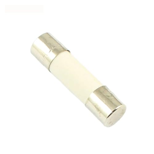 Fusibili a cartuccia for tubo in ceramica, fusibile di rete domestico in ceramica 100 pezzi ad azione rapida 5x20mm 250V 0,1-30A(0.2A)