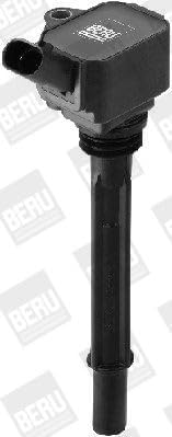 Beru ZS096 Ignition and Incandescent Systems