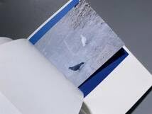 Amazon.co.jp: 光と影 川内倫子 | LIGHT and SHADOW RINKO KAWAUCHI