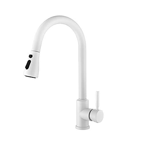Zohao Kitchen Faucet with Pull Out Spraye