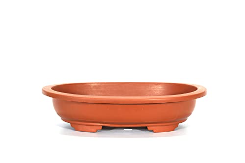 Pollice verde Vaso ovale per Piante e Bonsai in plastica marrone cm. 48