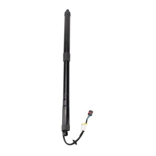 TIUBIDBA Left Right Power Liftgate Actuator for Infiniti for JX35 2013 for QX60 2014-2015 615102 BDA05553