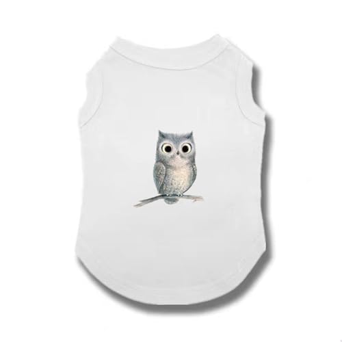 ZSDGBZ �� �� �t�� �R�b�g�� �^���N�g�b�v �� �h�b�O�E�F�A �h�b�O�E�G�A ���̕� T�V���c XS �p�X�e�� ��100�� �J���t�� ���킢�� ���� ���U�� ���o���� �����₷�� �E�ѕی�