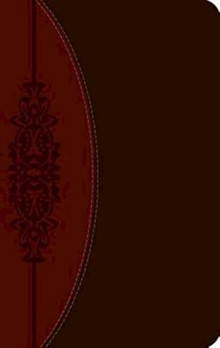 The CEB Wesley Study Bible