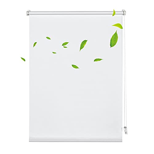 XJJUN Transparenter Rollo, Wasserdichter Regenvorhang, Bruchsichere...