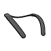 Sony SRS-NB10 Wireless Neckband Bluetooth Speaker Comfortable and Lightweight with Technology to Work from Home, Built-in mic, 20 Hours of Battery Life, and IPX4 Splash-Resistant- Charcoal Gray