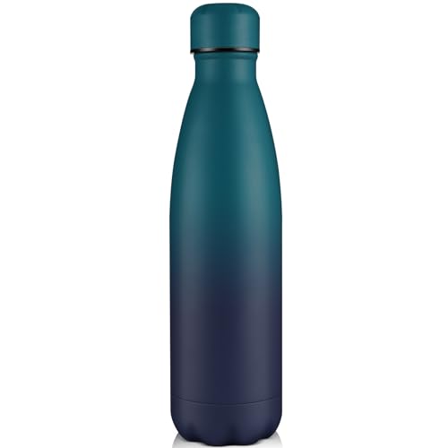 Volhoply 750ml Insulated Water Bottle, Double Wall Stainless Steel Vacuum Bottles, Keeps Cold 24H & Hot 12H, BPA Free Leak Proof Bottles (Dark Night,1 Pack)