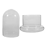 Petite bouteille : la bouteille écologique de bureau est également une décoration et créative, un support pour plantes d'intérieur