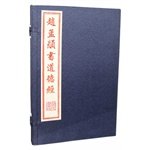 Chao. book Tao Te Ching (one letter a)(Chinese Edition)