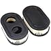 OFKPO 2 pcs Filtro de Aire - Motor Cortacésped Repalce Stens