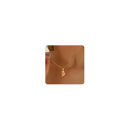 ARAVOP Dolphin Necklaces for Women 18K Gold Plated Cubic Zirconia Dolphin Heart Necklace Dainty Ocean Jewelry Gift
