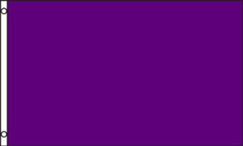 Purple Solid Color 3x5 ft polyester Flag