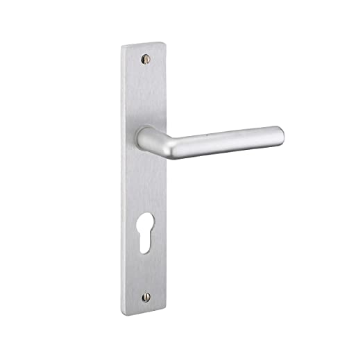 THIRARD - Juego de Manillas para Puerta de Entrada Crecy - Aluminio Anodizado Plata - Agujero de Cilindro - Cuadrado 7 mm - Entr'Ejes 195 mm - Estético y Práctico - Gris