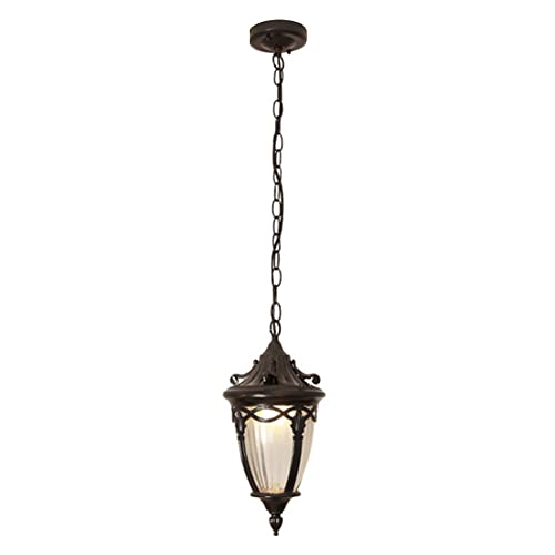 Lanterne verre extérieure plafond et luminaires de suspension étanches en aluminium
