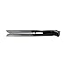 Titanium XL Professional Flat Iron by HAI - Extra Long Plates - Hair Straightener with Ionic Generator for Faster Styling