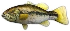 Real Tough Stuffless Freshwater Fish Dog Rope Toy (Bass)
