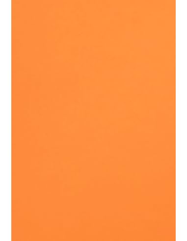 Netuno 20 Blatt Fotokarton Orange DIN A4 21 x 29,7 cm 300g Malmero Orange dicker Bastelkarton farbig A4 für Visitenkarten Einladungen Basteln Kreativkarton bunt Farbkarton für Karten Feinkarton