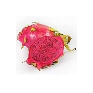 Generic Verse 100 stks Pitaya fruit ZADEN voor het planten van Rood