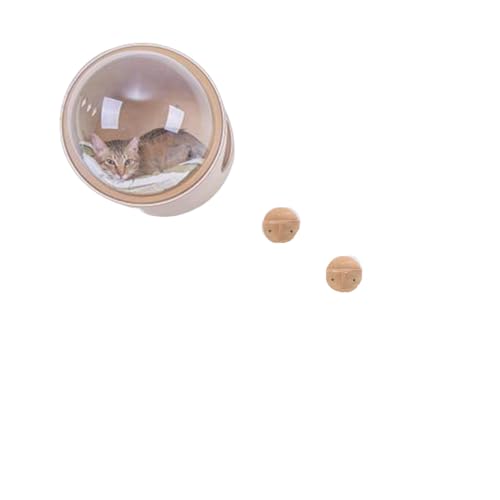 XVVXFDFDLxbhŒLNC~Ot[LXy[XJvZL̑Ǌ|ؐLnEXJvZǔLt[Xy[XLNC~Ot[L̑ (Xy[XJvZLbglXg1+EhWv2)