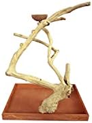 A&E CAGE Company AE500M Java Wood Table Top Play Stand image 4