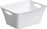 Rotho Living Caja de almacenamiento 5l, Plástico (PP) sin BPA, blanco, 5l (29.5 x 21.6 x 13.5 cm)