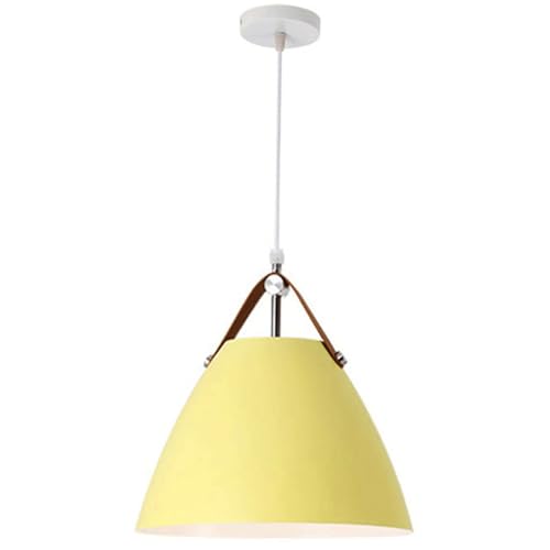 Suspension Industrielle Colorée 10,6" - Luminaire Décoratif E26