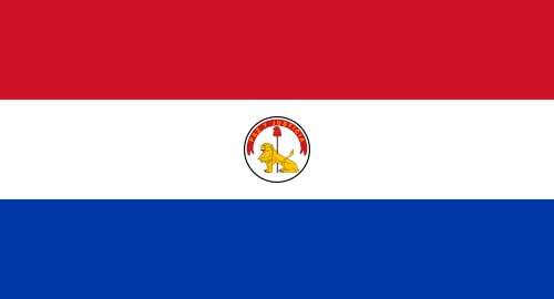 Drapeau Paraguay large ancienne version 1990-2013 suspendre mât intérieur - 2