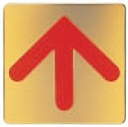 Polar Bear Nameplate Arrow Gold NB-3-5