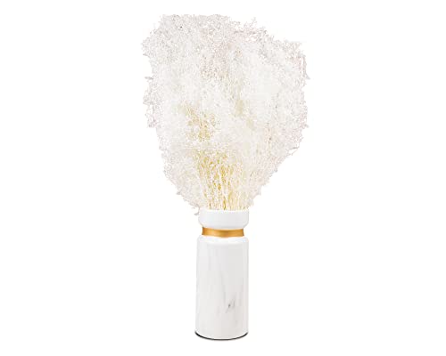 Sola Wood Flowers Preserved Greenery Baby's Breath White 14" To 18" 4 Oz Floral Filler For Flower Arrangements, Home Decor And Diy Wedding Flower Assortments #TOP22
