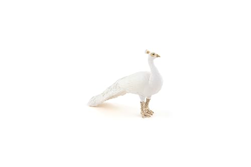 PAPO, Realistic White Peacock Figure, Ages 3+, Wild Life Collection, Educational Play Exotic Birds - Image 2
