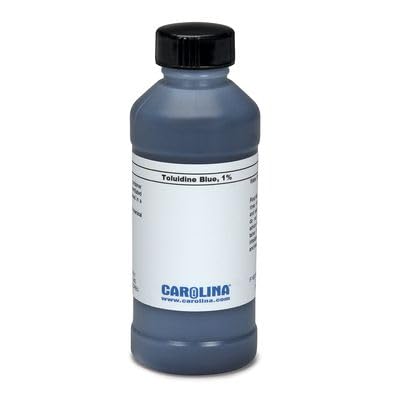 Labbox Toluidinblau, Lösung für die Histolo 43,67 Labbox Toluidinblau, Lösung für die Histolo 43,67