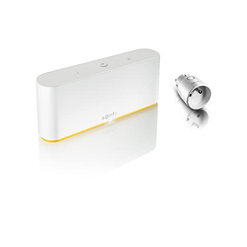Somfy 1870998 - Pack Tahoma Switch + 1 Prise connectée IO Type E, Commande Intelligente Compatible IO, RTS, Zigbee 3.0, Multiprotocole et Multimarque,...