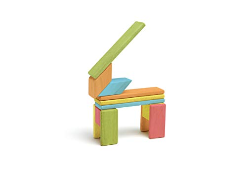 14 Piece Tegu Magnetic Wooden Block Set, Tints #TOP6