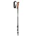 LEKI Legacy Lite COR-TEC AntiShock Pole Pair
