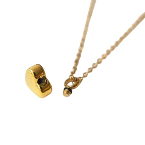The Amore Cremation Necklace, Heart Cremation Necklace, Urn Pendant, Urn Necklace for Ashes, Necklace Urn, Necklace Urn for Ashes, Cremation Jewelry, Stainless Steel, Gold Urn Necklace2